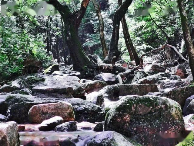 鼻涕和痰究竟是什么关系